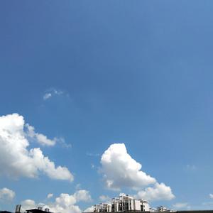 韩剧老板红衣秘书的背景故事
